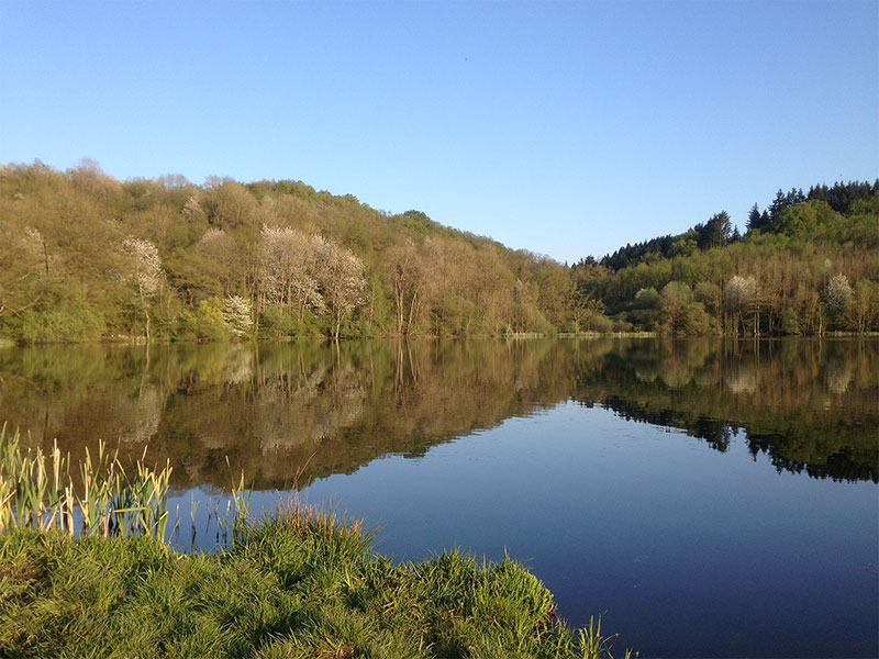 Natur in und um Bad-Bertrich